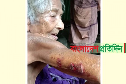 খাবার চাওয়ায় স্ত্রীকে সাথে নিয়ে বৃদ্ধা মাকে নির্যাতন!