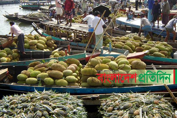 পাহাড়ে বাহারি ফল