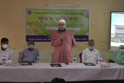 বরিশালে বিনা উদ্ভাবিত আমন চাষাবাদে প্রশিক্ষণ



