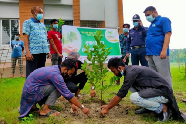 রাজবাড়ীতে বৃক্ষরোপণ অভিযান উদ্বোধন