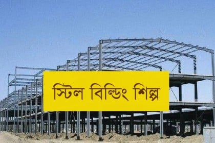 বিদেশিরা শুল্কমুক্ত সুবিধা পান, দেশিরা টেন্ডারও পান না