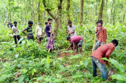 টাঙ্গাইলে জীববৈচিত্র্য সংরক্ষণে দেশি প্রজাতির বৃক্ষ রোপণ
