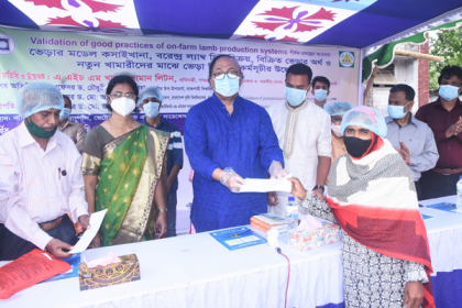 রাজশাহীতে নতুন খামারিদের মাঝে ভেড়া বিতরণ

