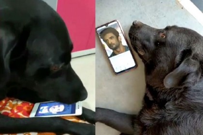 সুশান্তের অপেক্ষায় ফাজ!