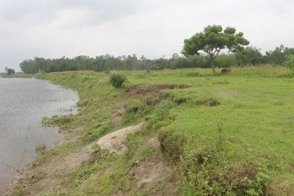 আত্রাই নদীর ভাঙনে হুমকির মুখে ফসলি জমি-বসতবাড়ি