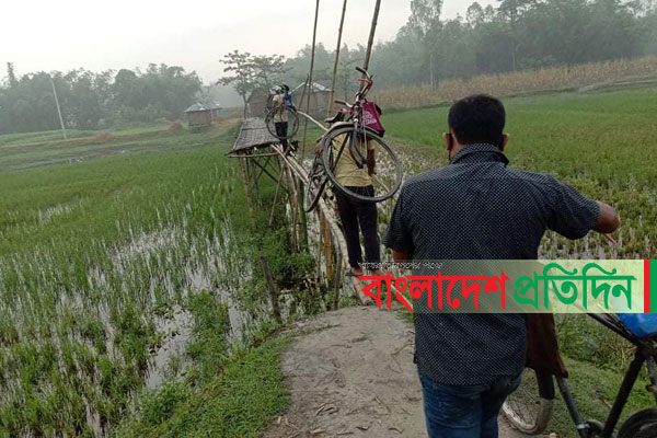 ভাঙা বাঁশের সাঁকোই পারাপারে ভরসা! দুর্ভোগ চরমে