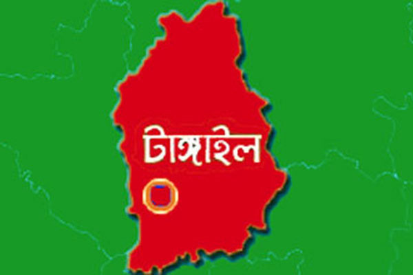 টাঙ্গাইলে মহিষ চরাতে গিয়ে বিদ্যুৎস্পৃষ্টে স্বামী-স্ত্রীর মৃত্যু