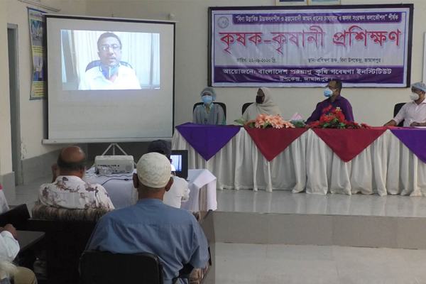 জামালপুরে বিনা'র কৃষক প্রশিক্ষণ

