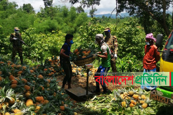 পাহাড়ে প্রান্তিক কৃষকের পাশে সেনাবাহিনী