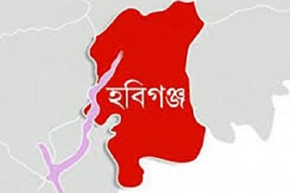 হবিগঞ্জে কেউ মানছে না লকডাউন