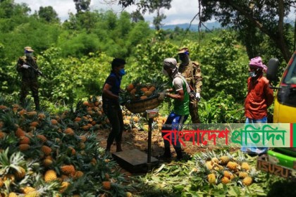 পাহাড়ে প্রান্তিক কৃষকের পাশে সেনাবাহিনী