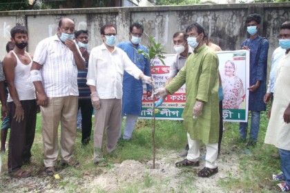 রাজবাড়ী জেলা আওয়ামী লীগের উদ্যোগে বৃক্ষরোপণ 