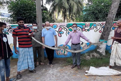 চট্টগ্রামে ১২ ফুটের অজগর লোকালয়ে

