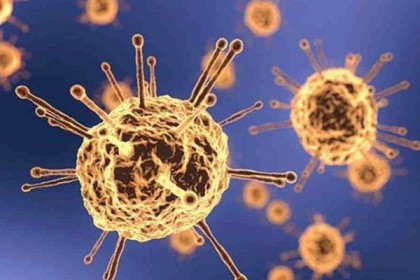 কুষ্টিয়ায় আরও ২৭ জনের করোনা সনাক্ত