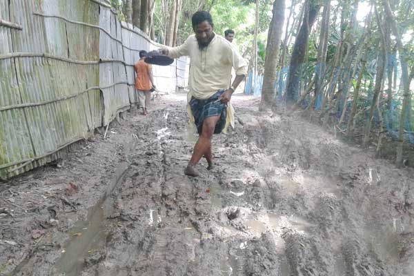 লাকসামে বেহাল সড়কে ঝুঁকিপূর্ণ চলাচল, সড়ক যেন ফসল চাষের জমি