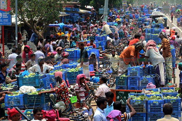 আম উৎপাদনে শীর্ষে নওগাঁ; ৮০০ কোটি টাকা বিক্রির সম্ভাবনা 
