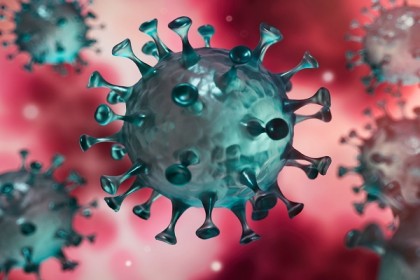 শিশু পুত্রসহ করোনা পজেটিভ সাংবাদিক দম্পতি