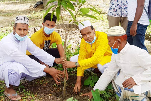 চরফ্যাশনে যুবলীগের বৃক্ষরোপণ ও চারা বিতরণ 