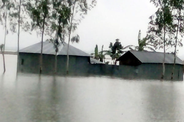 তিস্তায় পানি বৃদ্ধি, রংপুরে ১০০০ পরিবার পানিবন্দি