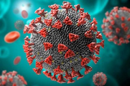 দিনাজপুরে ডাক্তার, নার্স, পুলিশসহ ১৯ জনের করোনা সনাক্ত 