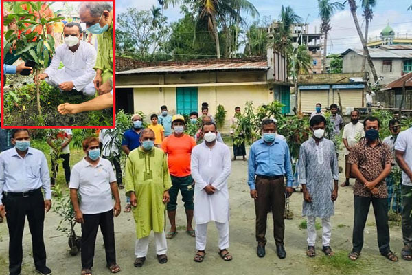 বরিশাল বিভিন্ন জাতের বৃক্ষ রোপন