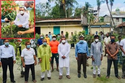 বরিশাল বিভিন্ন জাতের বৃক্ষ রোপন