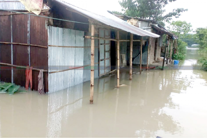 উজানের ঢলে বিশ্বনাথের নিম্নাঞ্চল প্লাবিত, পানিবন্দি মানুষ