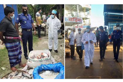 গৌরনদীতে ১০০ কেজি পিরানহা মাছ জব্দ, জরিমানা আদায়