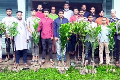 বিশ্বনাথে বৃক্ষরোপণ কর্মসূচি পালন