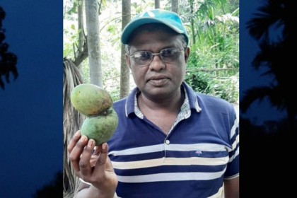 এক বোটায় দুই আম