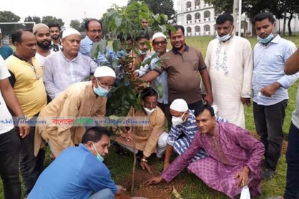 ভালুকায় আওয়ামী লীগের প্রতিষ্ঠাবার্ষিকী উপলক্ষ্যে বৃক্ষরোপণ