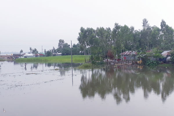 লালমনিরহাটে বন্যা পরিস্থিতির অবনতি, ডুবে গেছে ফসলি জমি