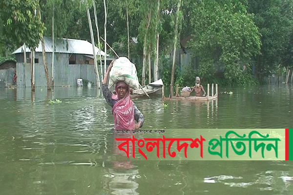 বাড়ছে পানি, ডুবছে বসতভিটা, দুর্ভোগে পড়ছে মানুষ