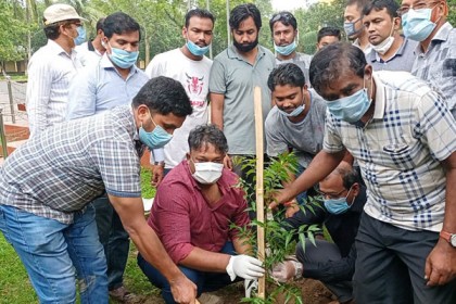 বিরামপুরে বিলুপ্ত প্রজাতির ৬৫ হাজার
চারা লাগাবে বন বিভাগ