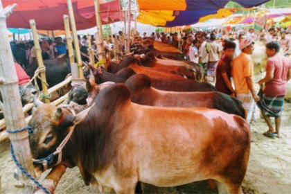 করোনা: চট্টগ্রামে কোরবানির বাজার নিয়ে শঙ্কায় ক্রেতা-বিক্রেতারা