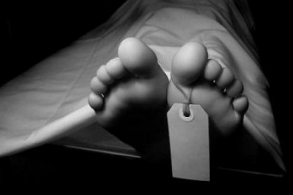 হালুয়াঘাটে গাছ থেকে পড়ে প্রাণ গেল শিশুর