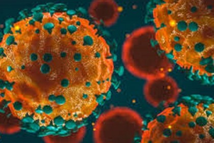 মনোহরগঞ্জে করোনা আক্রান্তের সংখ্যা ১০০ ছাড়াল