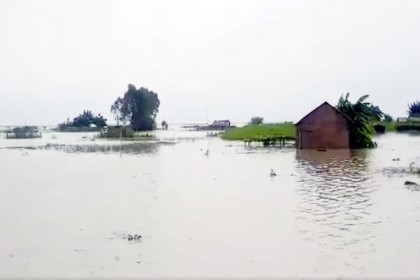 টাঙ্গাইলের সব নদীতে পানি বাড়ছে, অর্ধশত গ্রাম প্লাবিত