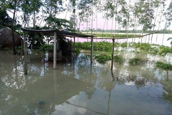 টাঙ্গাইলে নদীর পানি বাড়ায় পানিবন্দি ৩০ হাজার মানুষ