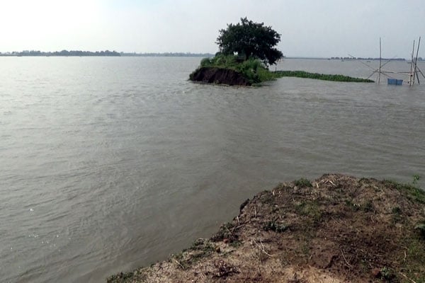 নওগাঁ প্লাবিত হয়েছে কয়েক লাখ হেক্টর জমির ফসল