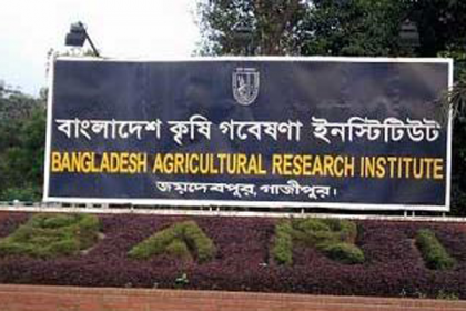 বারি'তে ফল ও শাক-সবজির রোগবালাই ব্যবস্থাপনা শীর্ষক প্রশিক্ষণ 