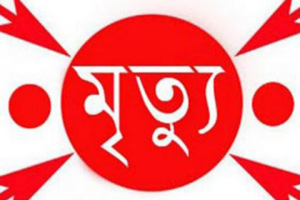 বীরগঞ্জে বিদ্যুৎস্পৃষ্টে শিশুর মৃত্যু