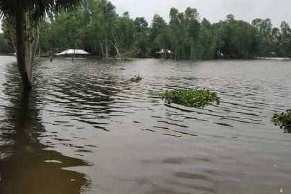 বগুড়ায় বন্যা পরিস্থিতি অপরিবর্তিত