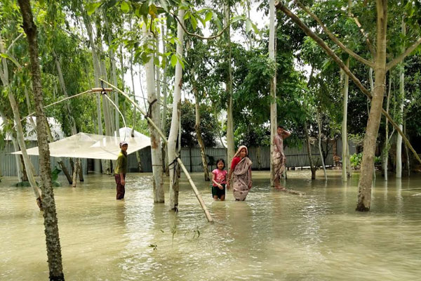 কুড়িগ্রামে চরম দুর্ভোগে বানভাসী মানুষ