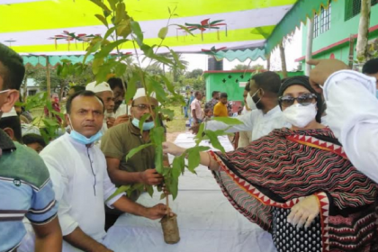 শ্রীপুরে মুজিববর্ষে দলীয় নেতাকর্মীদের মাঝে গাছের চারা বিতরণ