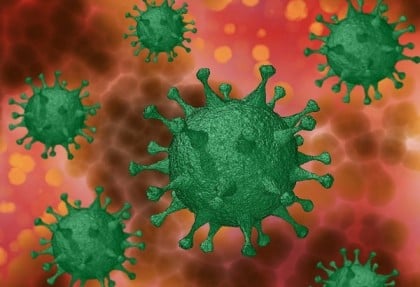 করোনায় স্বামীর মৃত্যুর ২০ দিন পর স্ত্রীর মৃত্যু