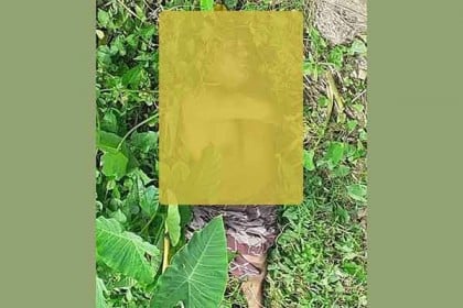 কুমিল্লায় ঝোঁপে মিলল পিকআপ ভ্যান চালকের লাশ