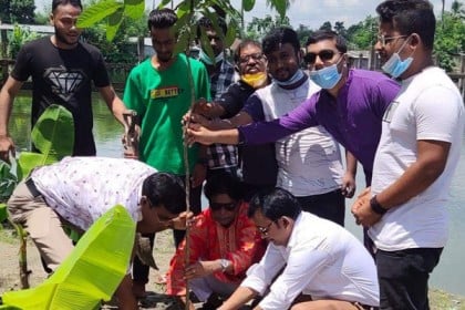 নাটোর পৌর ছাত্রলীগের উদ্যোগে বৃক্ষরোপণ কর্মসূচি