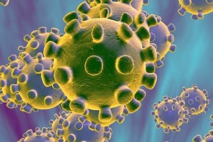 গোপালগঞ্জে নতুন করে ৩৪ জন করোনা রোগী সনাক্ত