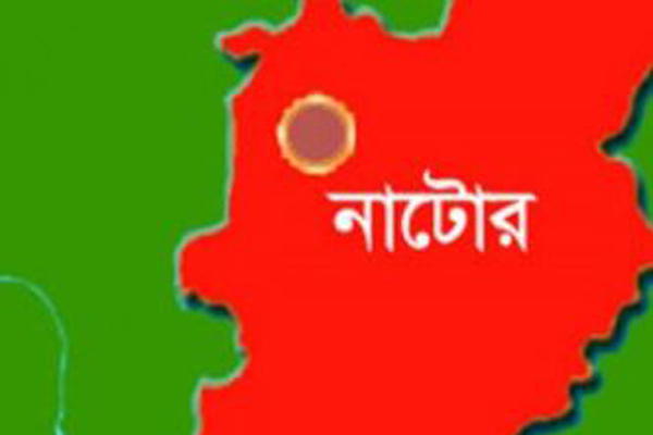 বড়াইগ্রামে ঋণের চাপে এক ব্যক্তির আত্নহত্যা  